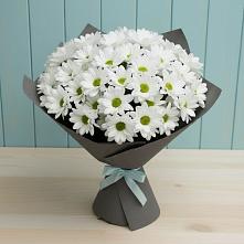 Букет цветов из:  Хризантемы в Прохладном