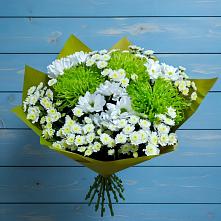 Букет цветов из:  Хризантемы #REPLACE_PRED# Прохладном